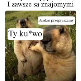 Dawid